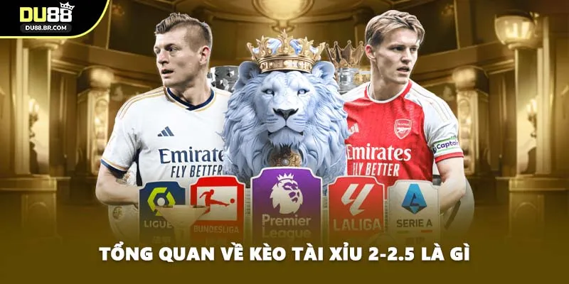 Tổng quan về kèo tài xỉu 2-2.5 là gì